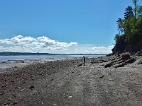67015RoCrLe - Walking on the shale and slate on Blue Beach at low tide, Hantsport, NS.JPG